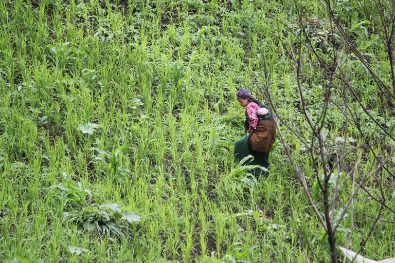 The Rakhine Yoma foothills in Ngape Township are home to thousands of Asho Chin people. (Nay Aung | Frontier)