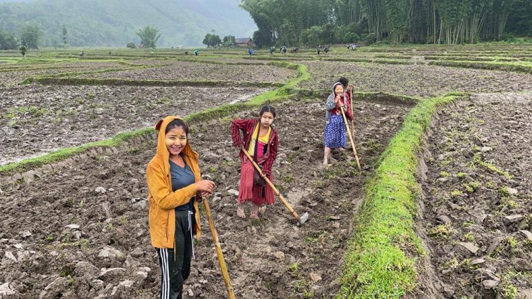 Luthaw villagers work their fields in Kayin State in June 2021 (Free Burma Rangers)