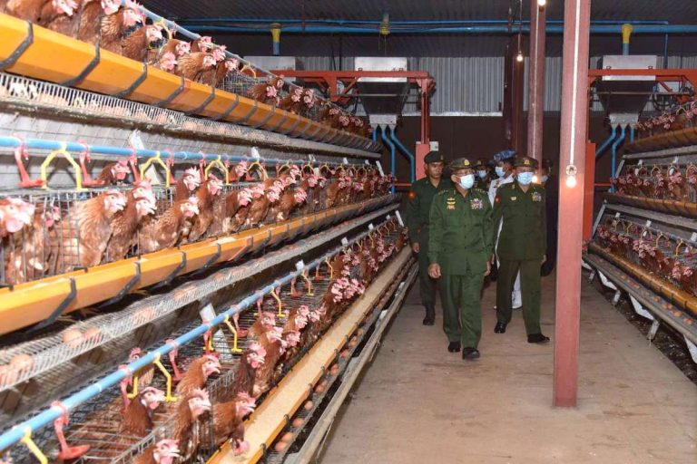 Senior General Min Aung Hlaing inspects a chicken breeding facility inside the North-East Command headquarters in northern Shan State and gives necessary instructions. (Commander-in-Chief's Office)