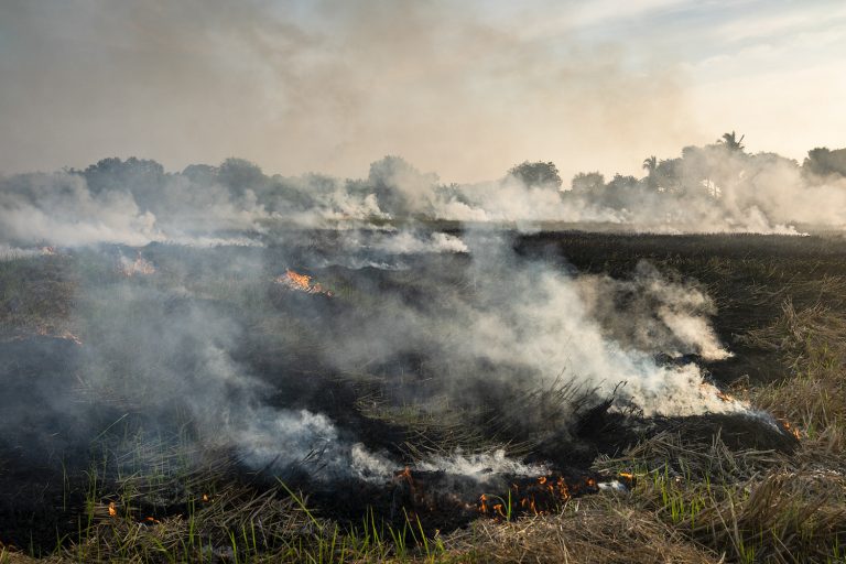 Farmers burn rice straw to clear a field beside the road between Dala and Twante in Yangon Region on December 14. Biomass burning, including crop residues, contribute significantly to Yangon's air pollution. (Hkun Lat | Frontier)