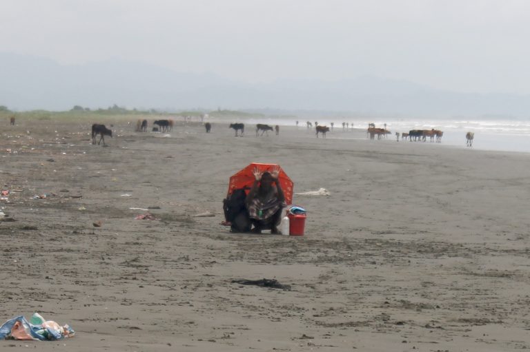 habirman_we_found_him_at_alae_than_kyaw_beach_3_0.jpg