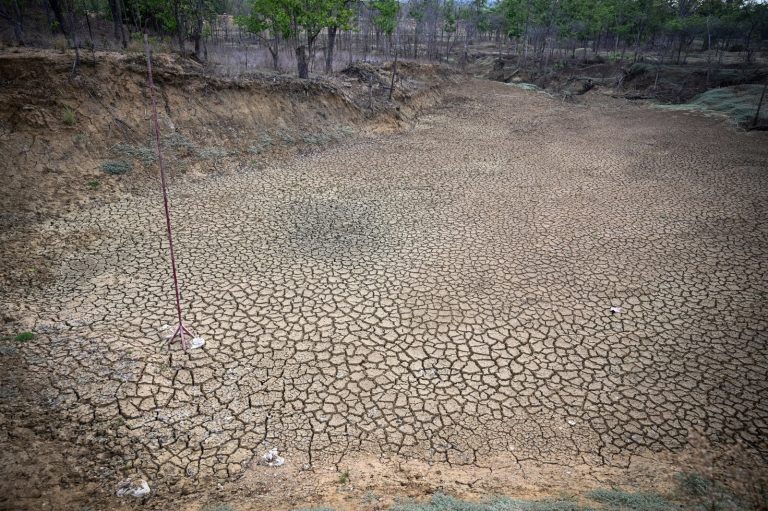 Dried bed of a lake in the Shwe Settaw natural reserve in Magway Region in May 2019. (AFP)