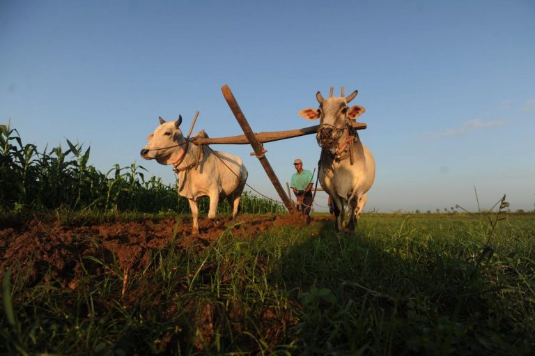 ifc-to-invest-7-5m-in-myanmar-awba-rural-finance-scheme-report-1582176032