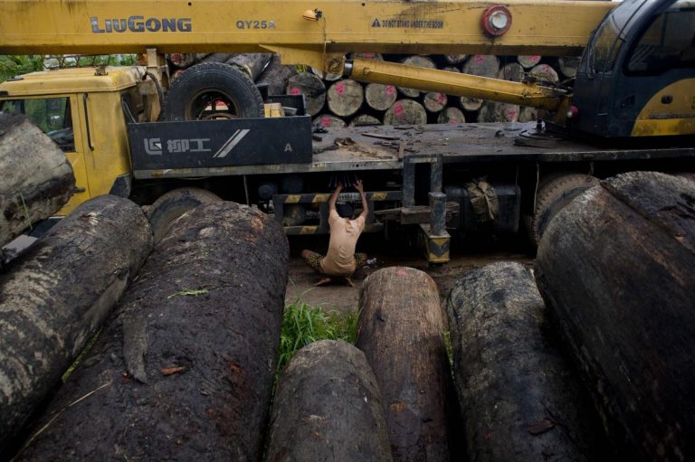 illegal-logging-on-decline-in-kachin-watchdog-1582176059