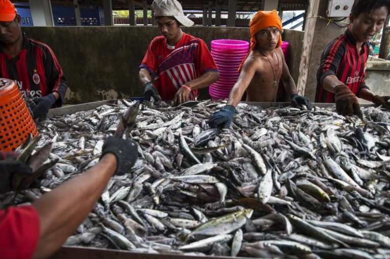 in-rare-demand-myanmar-migrants-push-for-better-pay-benefits-at-thai-seafood-firm-1582188668