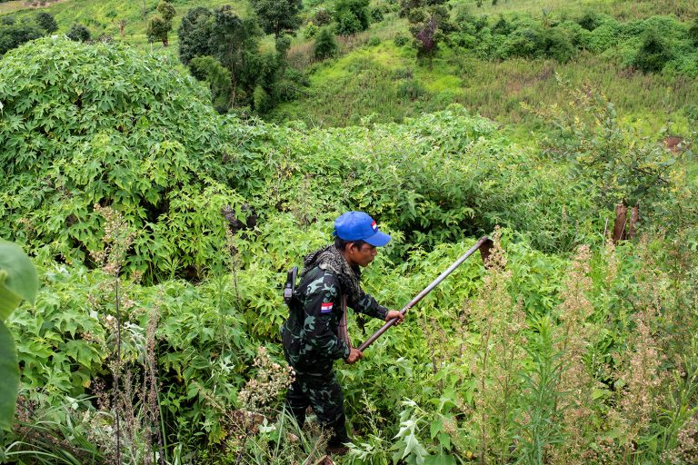 A member of the Karenni Nationalities Defence Force conducts demining operations in southern Shan State’s Pekon Township, on July 11. (AFP)