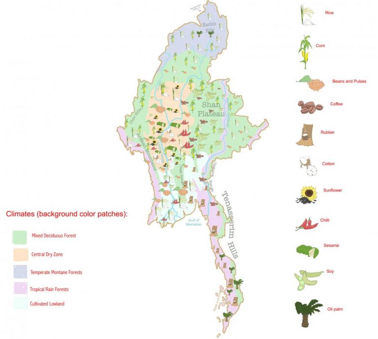 myanmar-agriculture-101-1582105138