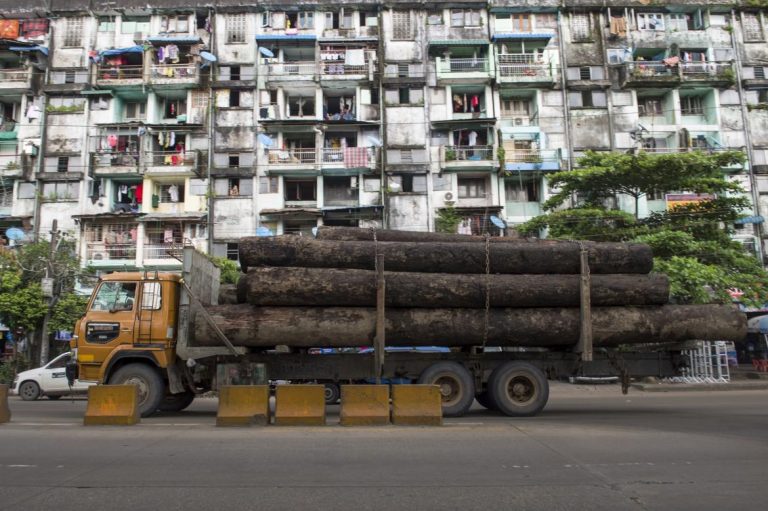 myanmar-makes-record-seizures-of-illegal-timber-1582219871