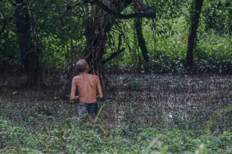 saving-the-mangroves-1582191729