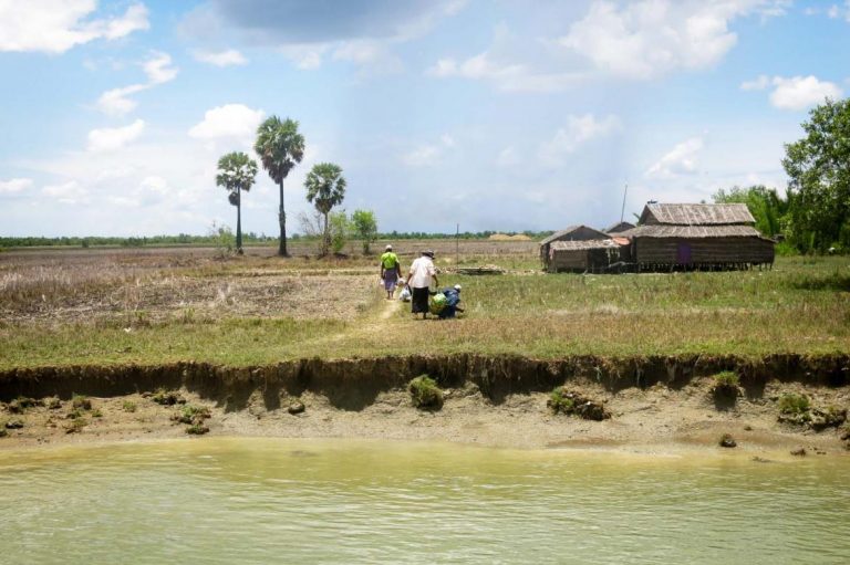 the-hunger-haunting-the-nations-rice-bowl-1582179817