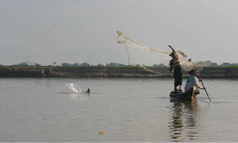 the-ones-we-named-are-all-dead-now-dolphins-and-fishers-struggle-to-survive-in-myanmar-1582186285