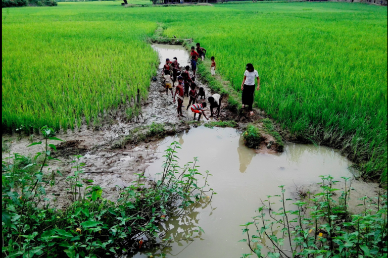 the-welcome-migrants-from-bangladesh-1582195865