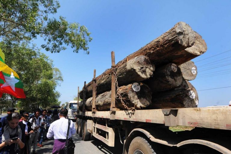 timber-sector-wants-mte-to-get-the-chop-1582187526