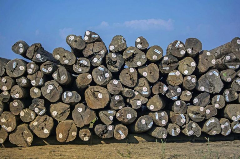 uk-suspends-funding-for-timber-industry-project-1582173527